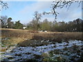 Field to the west of the Wey Path South