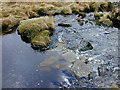 SN8078 : Stepping stones over the Nant Rhuddnant by Nigel Brown
