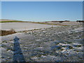 Long shadow over Longfurlong