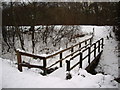 Footbridge in Denman Park