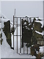 Gate in the snow