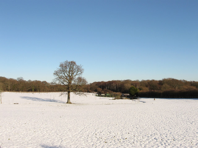 Clayton Wood Natural Burial Ground © Simon Carey :: Geograph Britain ...