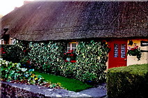R4646 : Adare - Thatched cottage along Main Street by Joseph Mischyshyn