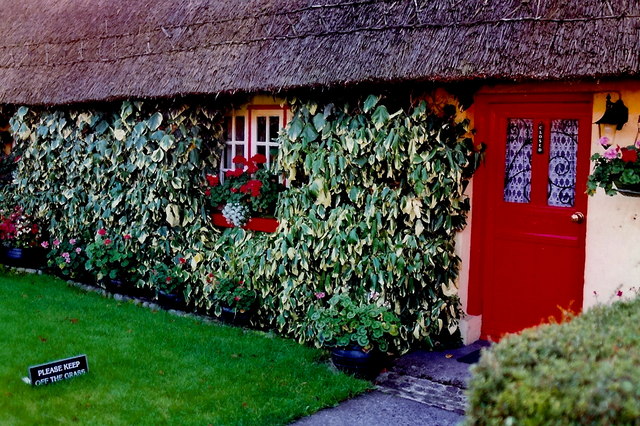 Adare - Thatched cottage along Main Street