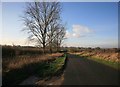 Country Road looking west nr Aston Grove