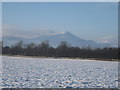 East Lomond