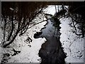 Downstream from the bridge in Denman Park