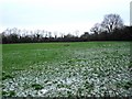 Ballymacilrany Townland