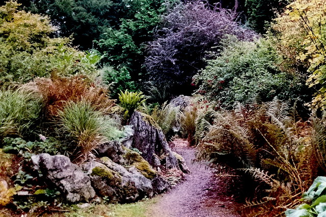 Blarney - Rock Close - Fairy Glade