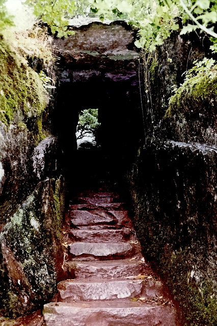 Blarney - Rock Close - Wishing Steps