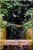 W6075 : Blarney - Water channel on Blarney Castle grounds by Joseph Mischyshyn