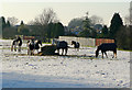 Christmas Day in the snow, Colton Hills, Wolverhampton