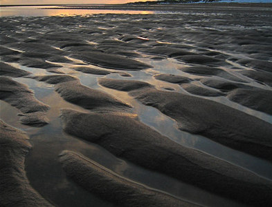 NK0023 : Newburgh: ripples on the beach by Martyn Gorman