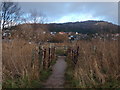 Pont droed dros Afon Ganol / Footbridge over Afon Ganol