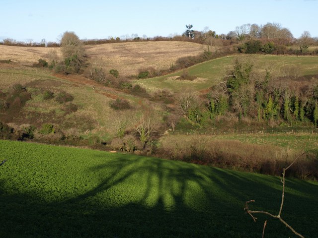 Cockington valley