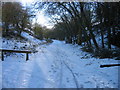 South Tyne Trail at Coanwood Car Park