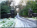 Entrance to Carnagh Forest