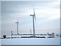 NZ4433 : Wind turbines in a snowy field near Elwick (view east) by Philip Barker
