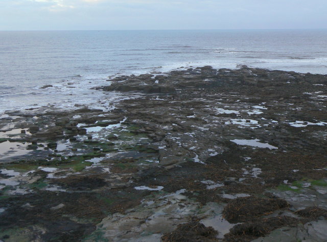 Seal Skeers © Alan Murray-Rust cc-by-sa/2.0 :: Geograph Britain and Ireland