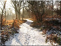 SO4971 : Path on the common by Richard Webb