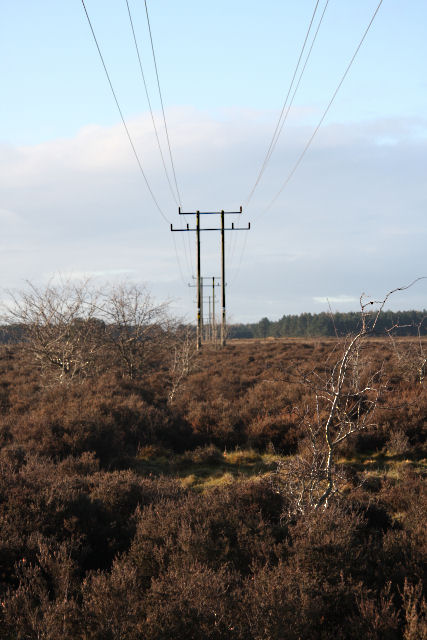Telegraph wires on Berner's Heath