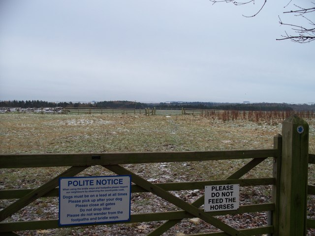 Bridleway to Foxholes