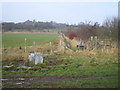 Footpath, drinking trough and bench in the former opencast workings at Little Wenlock