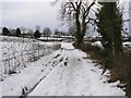 Snowy path, Doogary