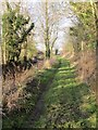 Towpath towards the road