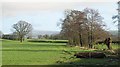 SO4781 : Farmland,  Burley by Richard Webb