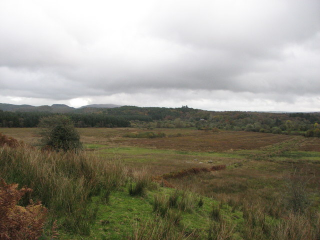Bogland near Killerry wood