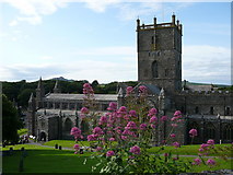 SM7525 : St David's Cathedral by Colin Park