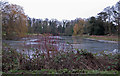 Brocklesby Park - The Canal