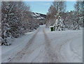 Snow covered driveway at Rialabeag