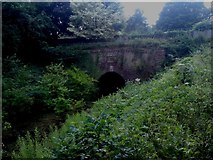SU7151 : Greywell Tunnel with summer foliage growth by dinglefoot