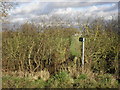 Footpath to Witney