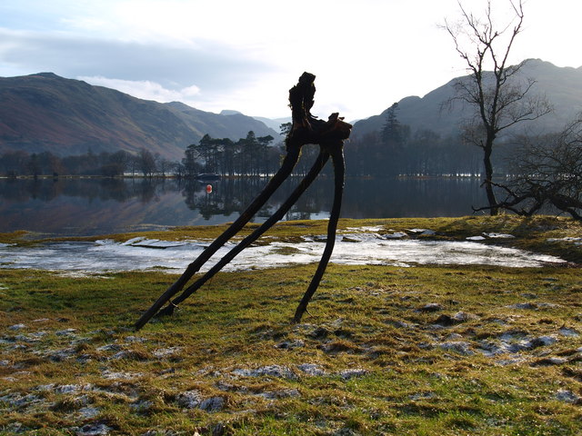 Washed up tree stump by Ullswater