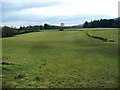 Pasture west of the A4042