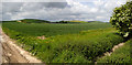 North Farm Panorama 4