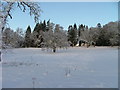 Trees in the grounds of Cluny Castle