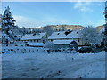 Forestry houses