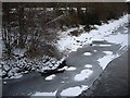 Frozen river bank