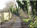 Footpath to the Canal