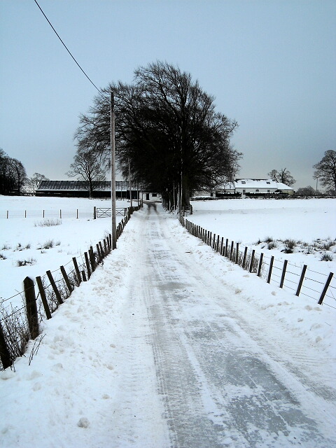 Snow Covered Millwell Road
