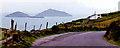 V5059 : Ring of Kerry - Road and Deenish & Scariff Islands by Joseph Mischyshyn
