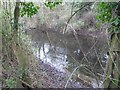 Canal in the cutting