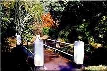 W6075 : Blarney Castle grounds - Blarney River footbridge by Joseph Mischyshyn