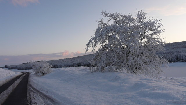 Winter Scene by Loch Craggie
