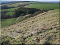 Strip lynchets, Ringstead