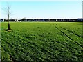 Buckhurst Field, Walcot, Swindon